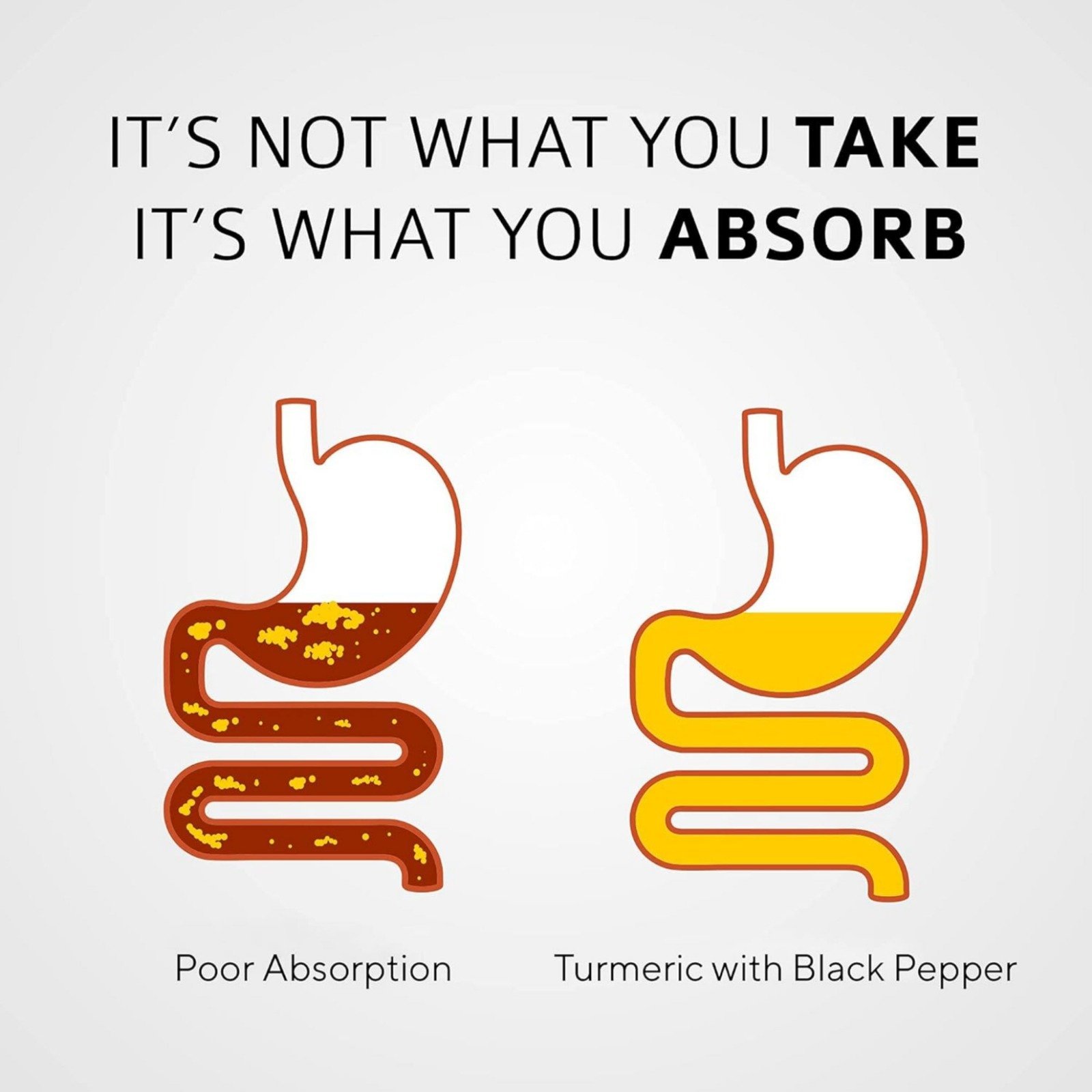 Srishma Curcumin Turmeric Herbal Supplement | 60 Capsules| - Image 3